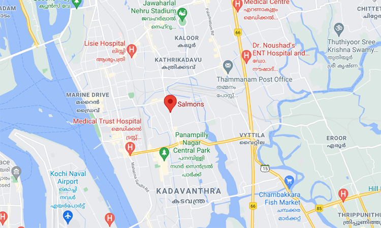 salmons kadavanthra, kochi,kerala