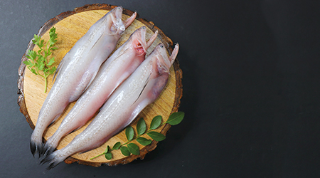 buy exotic indian fish kochi kerala