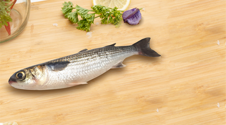 buy freshwater fish kochi kerala
