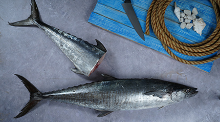 buy seawater fish kochi kerala