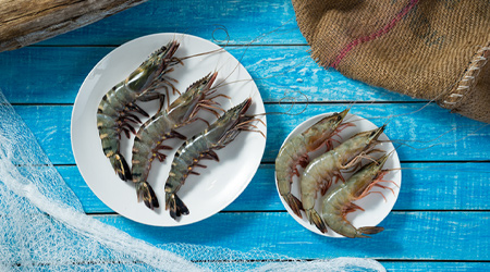 buy shelled fish kochi kerala