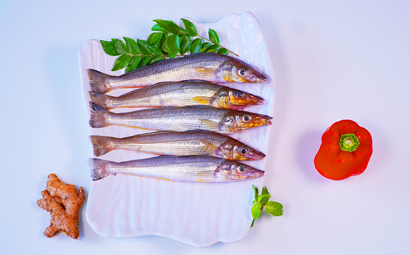 LADY FISH / KATHIRAN