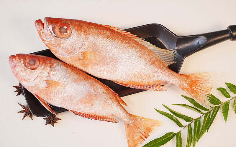 Whole Fish (Not cleaned & cut)