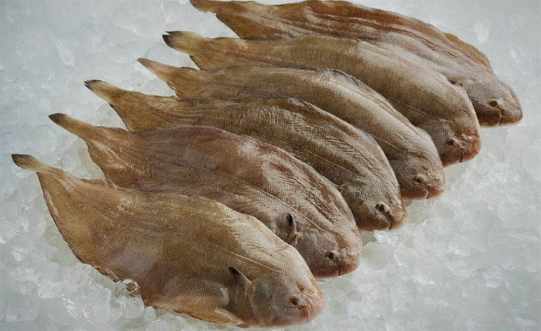 Whole Fish (Not cleaned & cut)