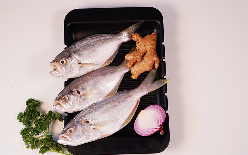 Whole Fish (Not cleaned & cut)