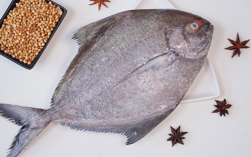 POMFRET BLACK/AVOLI BLACK EXTRA BIG (1 - 2kg)