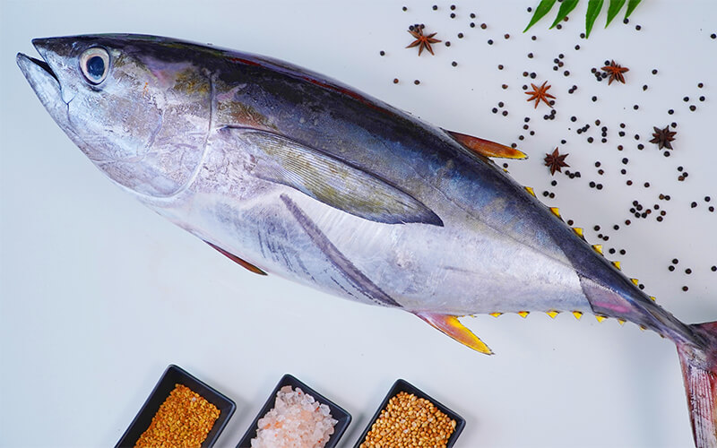 Salmons buy fish online kochi, kerala